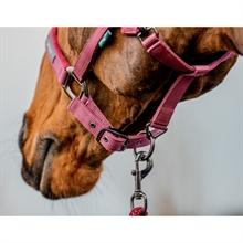 Horseware Amigo halsterset